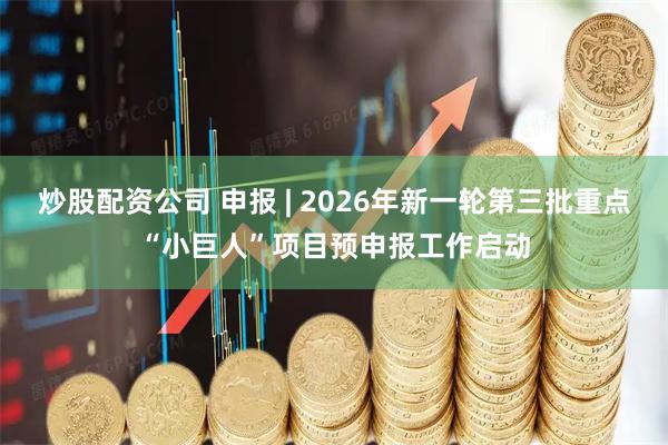 炒股配资公司 申报 | 2026年新一轮第三批重点“小巨人”项目预申报工作启动
