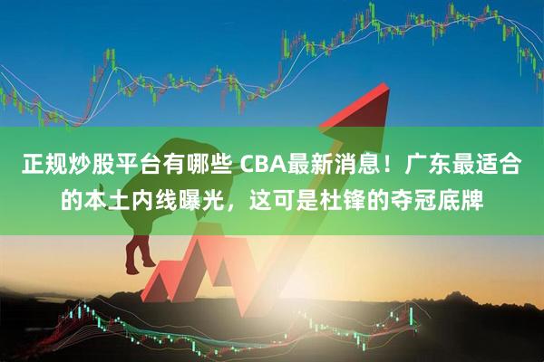 正规炒股平台有哪些 CBA最新消息！广东最适合的本土内线曝光，这可是杜锋的夺冠底牌