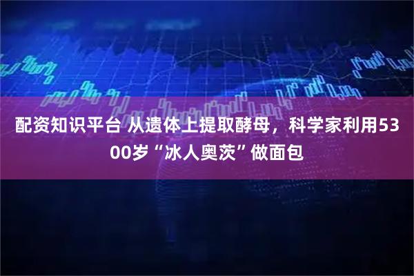 配资知识平台 从遗体上提取酵母,科学家利用5300岁“冰人奥茨”做面包